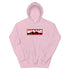 products/unisex-heavy-blend-hoodie-light-pink-front-605a4eff27438.jpg